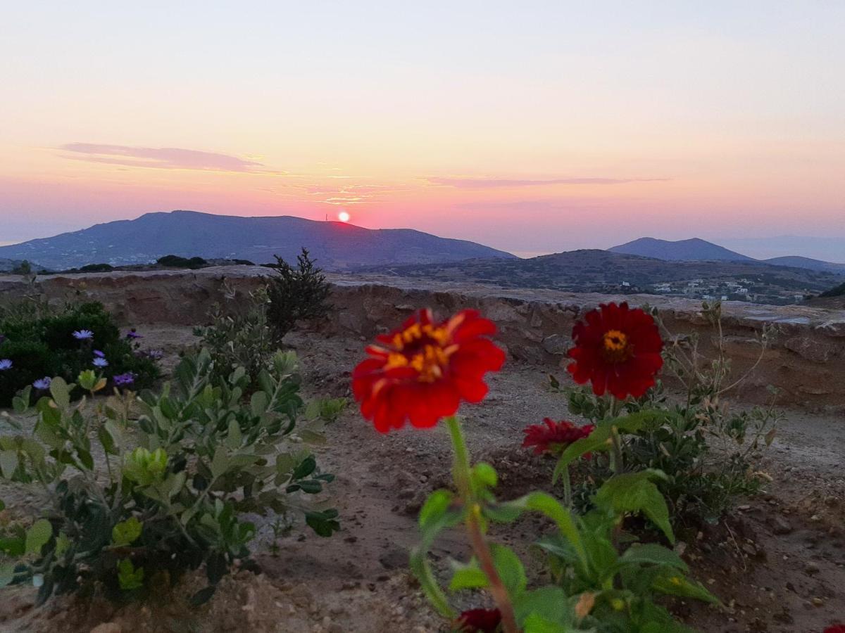 Villa Adeiata Adiata المظهر الخارجي الصورة
