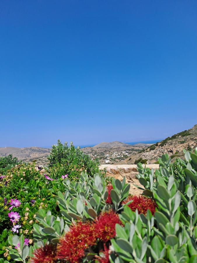 Villa Adeiata Adiata المظهر الخارجي الصورة